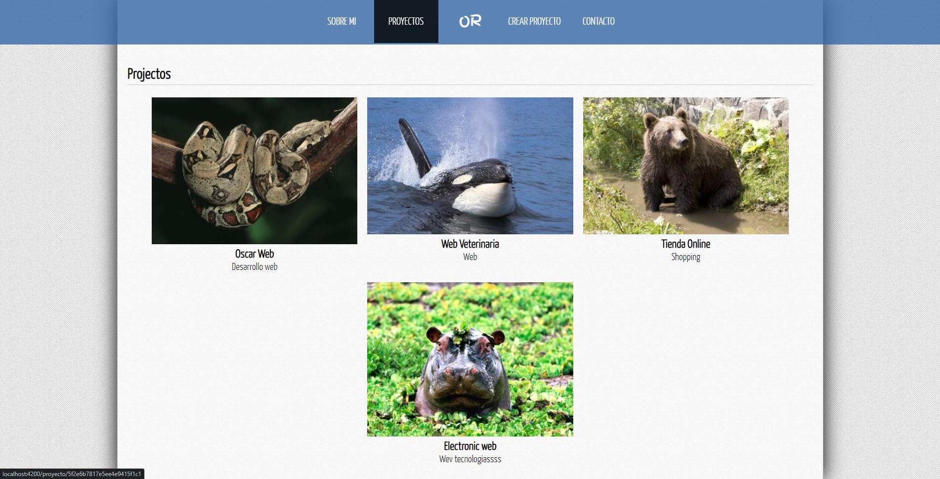 Angular Web Application